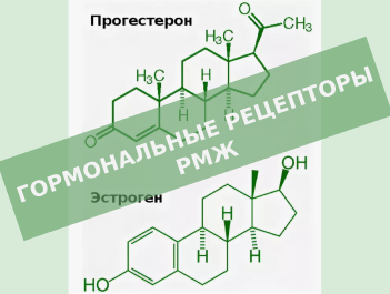 Что такое гормональные рецепторы рака молочной железы? Принципы эндокринотерапии