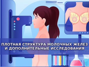 Плотная структура молочных желез и дополнительные исследования!