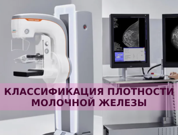 Классификация плотности тканей молочной железы: важность для маммографии и профилактики рака