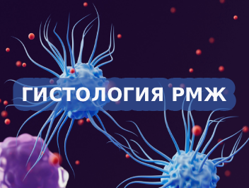 Нужно ли дифференцировать специальные типы рака молочной железы от неспецифического протокового?