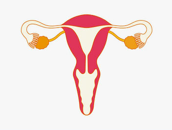 Овариальная супрессия